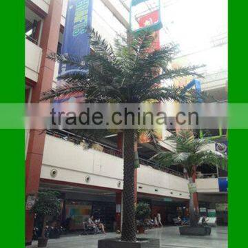 Artificial Middle-East Date Palm tree/ Artifical Phoenix Palm trees in Dubai