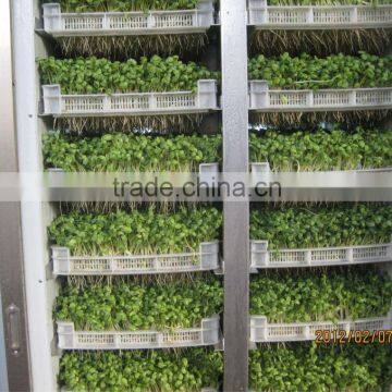 Hydroponics Animal Fodder Machine Green Feed Livestock Fodder Sprout Machine Hydroponic Fodder System photo-2