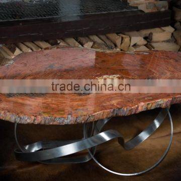 Arizona petrified wood coffee table