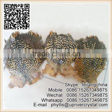 Factory Direct High Quality 8-9 Inch Jungle Cock For Sale