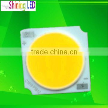 Without Driver 5W 7W 10W 12W 15W 20W AC220V COB LED Chips