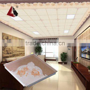 LTL09 Good quality aluminum roofing ceiling designs for shops