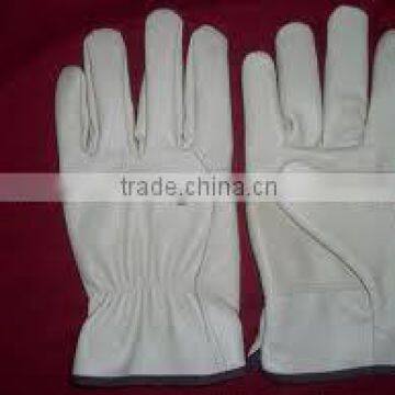Work Gloves