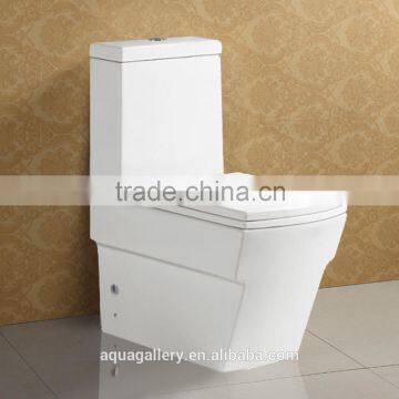 One Piece Hygienic WC Toilet