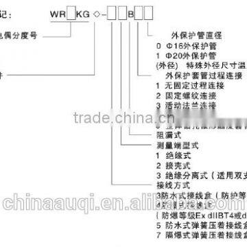 Thermocouple for Nuclear photo-4
