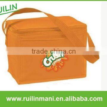 Promotion Food Disposable Cooler Bag