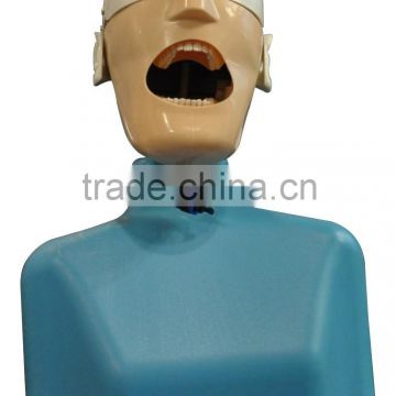 Senior II type treaching dental manikin for universities
