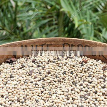 Vietnam Dried White Pepper 630G/L (Viber/Whatsaap: 0084965152844 -Ms.Emma)