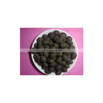 Black Lotus Seed