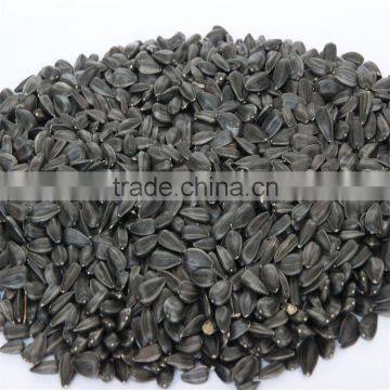Chinese Oil Sunflower Seeds photo-2