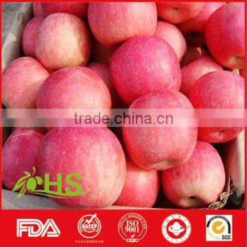 Fresh Fuji Apple Fruit Exporter From China photo-2