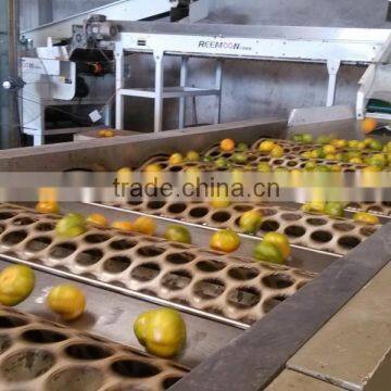 Bulk Navel Orange Fruits for Sale photo-2