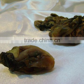 DRIED OYSTER from China