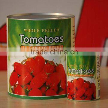 400g Canned Tomato Paste Tomato Ketchup photo-4