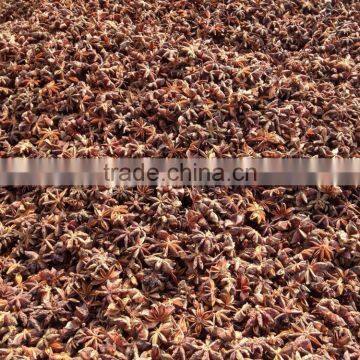 VIETNAM HIGH QUALITY AUTUMN STAR ANISE