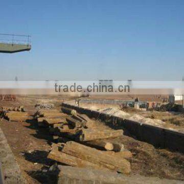 Stone Pillar, Stone Column, basalt Column