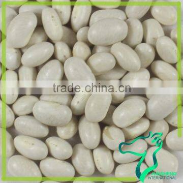 Japanese Type White Kidney Beans With Best Color And Quality