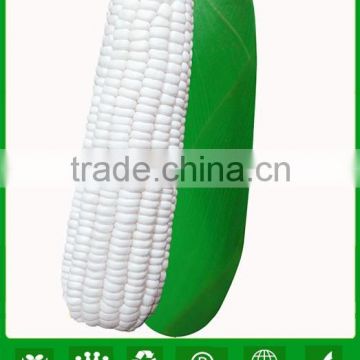 NCO02 Nuomi hybrid white best corn seeds