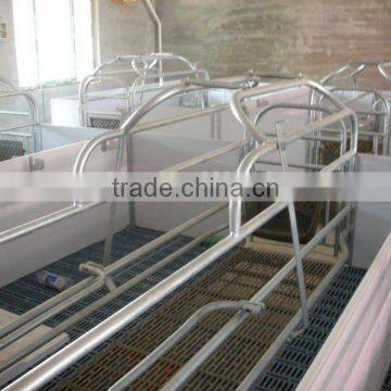 PVC Rail Elevated Farrowing Stall for Pigs