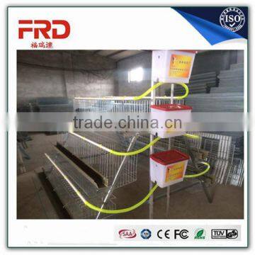 2017 Chicken Farm Automatic Chicken Layer Cage with Promotional Price