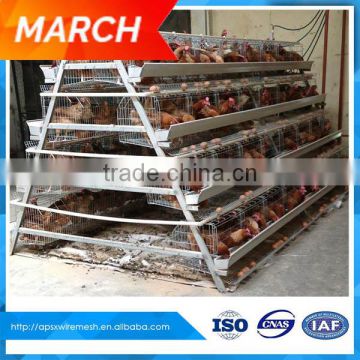 Kenya poultry farm a type layer cage for sale