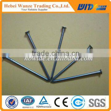 China hot sale iron wire nails / polished common nails / concrete nail for factory