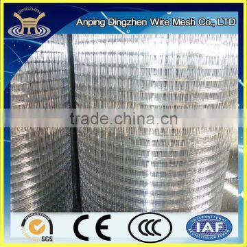 hot dipped galvanized steel welded wire mesh/ welded wire mesh (panel)