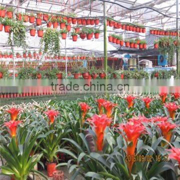 Multi Span Tunnel PE Plastic Film Hydroponic Systems Agricultural Greenhouse photo-3
