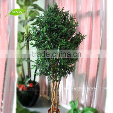 GNW BTR042 5ft tall mini rubber tree leaves use for indoor decor on sale
