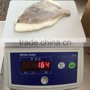 Frozen John Dory Fillet Zeus Faber Fillet 150-200g photo-2