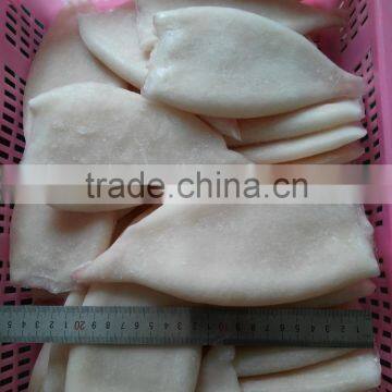 Frozen Fresh New Produced U5 Squid Tube photo-4