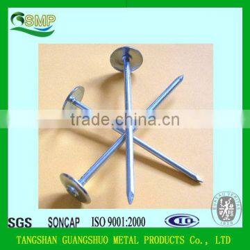 Galvanized Umbrella Head Roofing Nail/Lead Roofing Nails