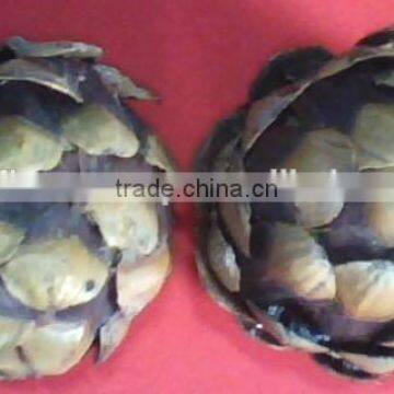 kHEJUR pETAL Botanical Handmade Deco Balls
