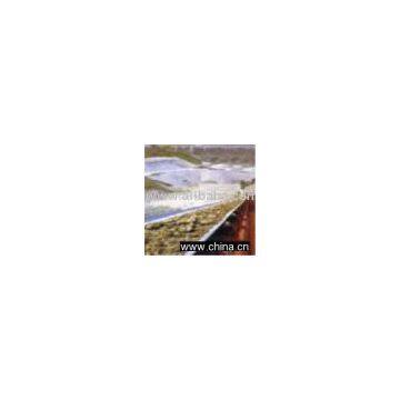 Oil Resistant Conveyor Belt