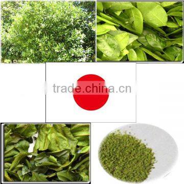 Reliable and Effective herbal slimming tea side effects baby spoon at reasonable prices small lot order available