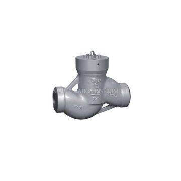 Power plant check valve