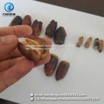 Date Cleaning Machine Date Washing Machine Date Clean Machine Date Washer Machine photo-2