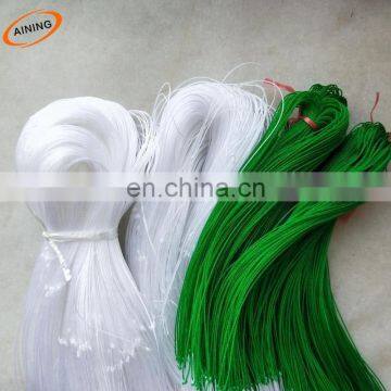 HDPE material climbing elastic plant support netting India