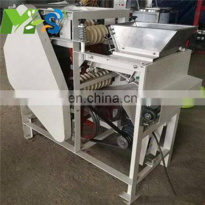 MS Automatic Soybean Skin Removing Chickpea Almond Wet Peeler Peanut Peeling Machine photo-5