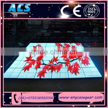 ACS P10 led dance floor video for event