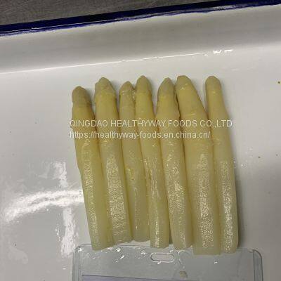 Canned White Asparagus photo-4