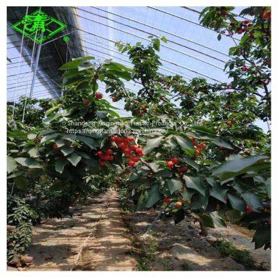 Blue/transparent PE/EVA Greenhouse Film for Flowers photo-3