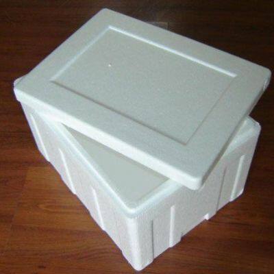 Foam Packaging