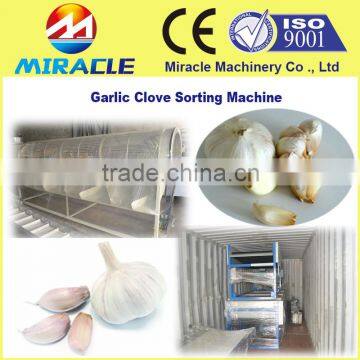 Garlic processing sorting machine with new design machine for sorter garlic clove