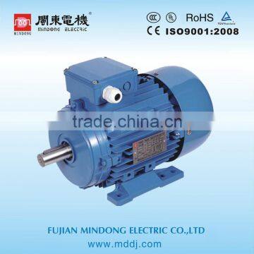 electric motor