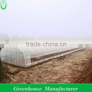 roll film ventilation plastic tunnel greenhouse