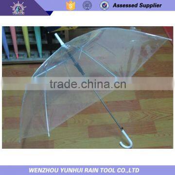 Transparent Audited Dome umbrella