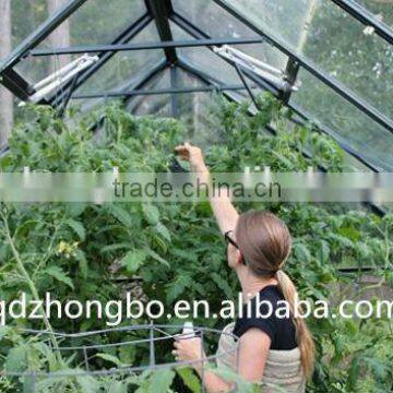 Low Greenhouse in Benxi Steel Structure photo-2