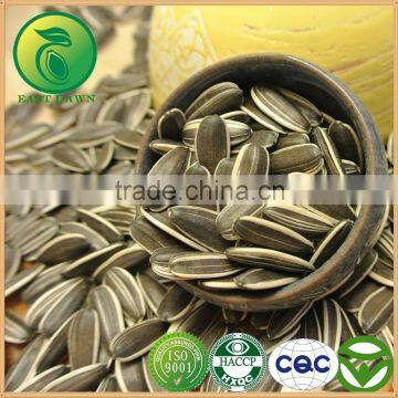 Roasted Sunflower Oil Sunflower Seeds Price For Sale