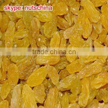 Xinjiang Golden Raisin photo-2